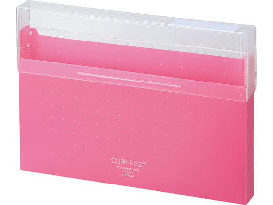リヒトラブ CUBE FIZZ コングレスケース A4 ピンク A6024-12