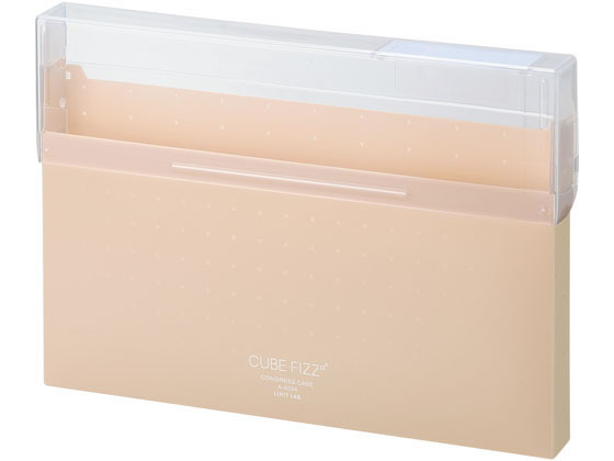 リヒトラブ CUBE FIZZ コングレスケース A4 ベージュ A6024-16