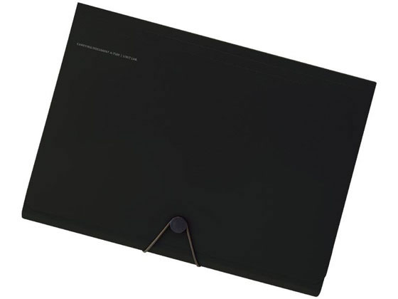リヒトラブ SMART FIT キャリングドキュメント A4 ブラック A7589-24 リヒトラブ SMART FIT キャリングドキュメント A4 ブラック A7589-24