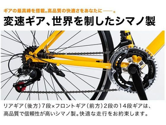 PROGRESSIVE ロードバイク 700C ホワイト 700C(ホワイト) ロードバイク シマノ製14段変速 700x28C