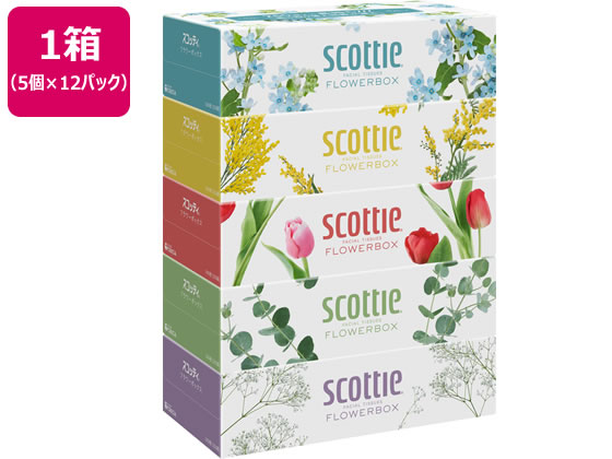 クレシア スコッティ ティシュー フラワーボックス 250組 5個×12パック 41331 クレシア スコッティ ティシュー フラワーボックス 250組 5個×12パック 41331