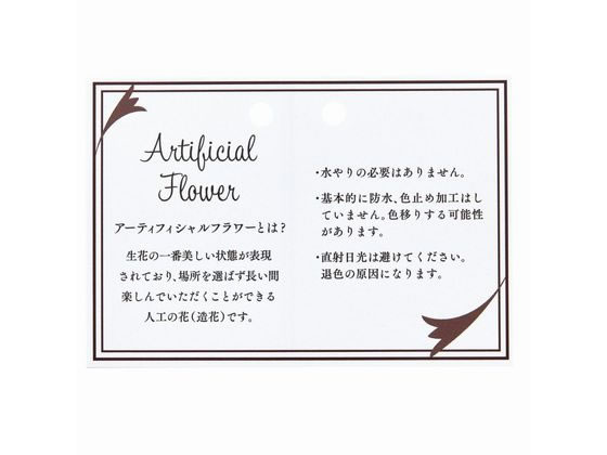 東京堂 アーティフィシャルカード 20枚