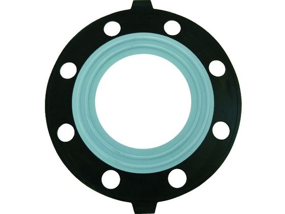 エスロン PTFE(テフロン)パッキン 100A JIS10K PP1H エスロン PTFE(テフロン)パッキン 100A JIS10K PP1H