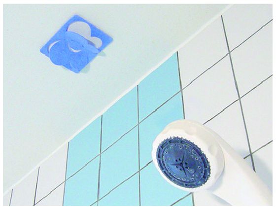 (まとめ) 太洋 お風呂のカビちょうキレイ ピンク E-B1P 1個 〔×20セット〕 : ecodeo(エコデオ) お風呂のカビちょうキレイ ピンク １