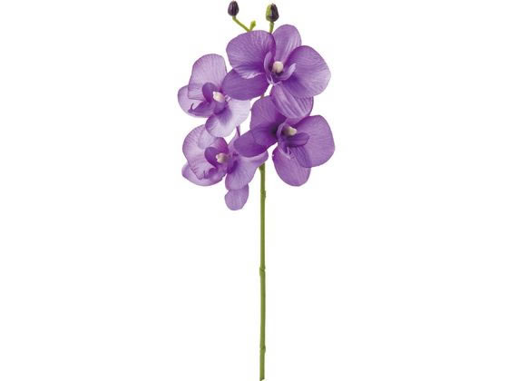 YDM 造花 コチョウラン