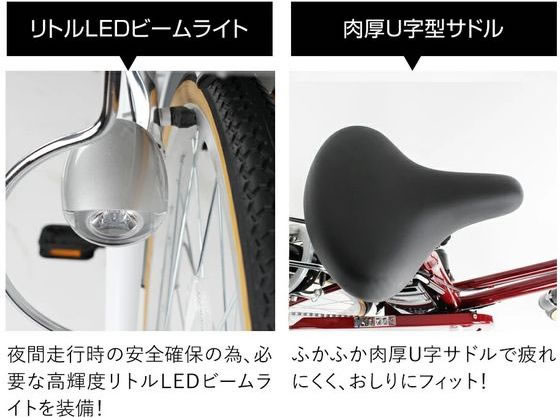 21Technology 電動アシスト自転車 DACT266 ジェットブラック