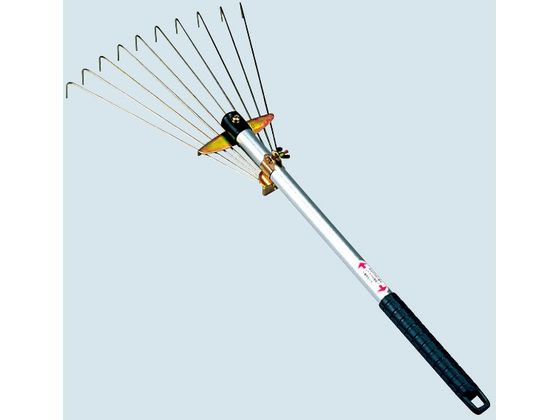 ���c�� �A���~�~�j���܂� �ې� 55535