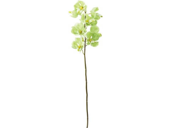 YDM 造花 オーキッド グリーン