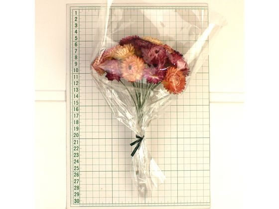 ワイヤー付きヘリクリサム 楽天市場】【お取り寄せ】東京堂 ドライフラワー ヘリクリサムワイヤー