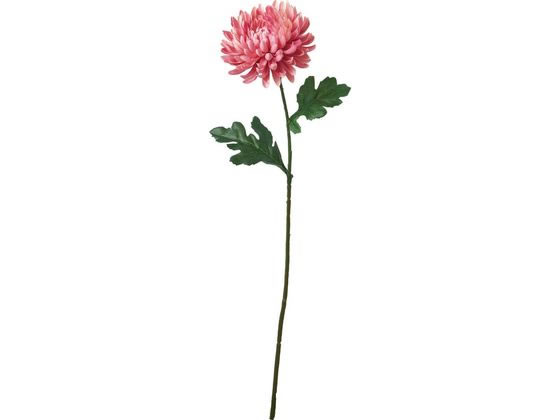 YDM 造花 大和菊