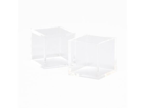 ヘイコー アクリルサイコロ 5面体 40角 2個入 007307901