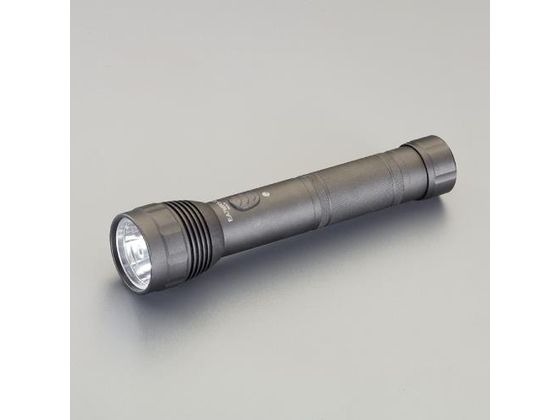 エスコ フラッシュライト LED 単1×2本 EA758RS-12