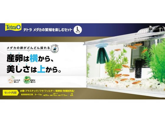スペクトラムブランズジャパン テトラ メダカの繁殖を楽しむセット L