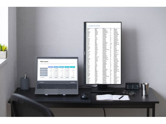アイリスオーヤマ 液晶ディスプレイ 23.8型 DT-EF233P-Bが22,479円