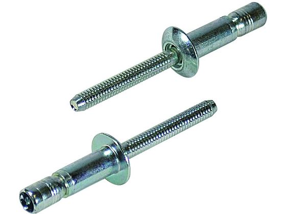 エビ 高強度ブラインドリベット Sボルト(丸頭) Φ6.4/板厚9.5mm (250本入) SNS64095 エビ 高強度ブラインドリベット Sボルト(丸頭) Φ6.4/板厚9.5mm (250本入) SNS64095
