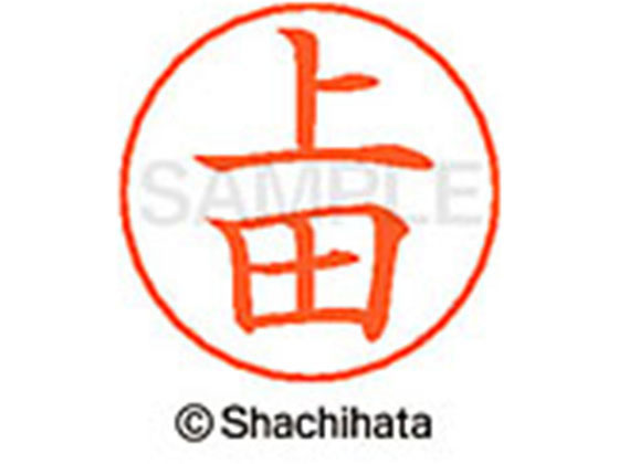 シヤチハタ ネームペン用ネーム シルバー 既製 上田 X-GPS-0364 シヤチハタ ネームペン用ネーム シルバー 既製 上田 X-GPS-0364