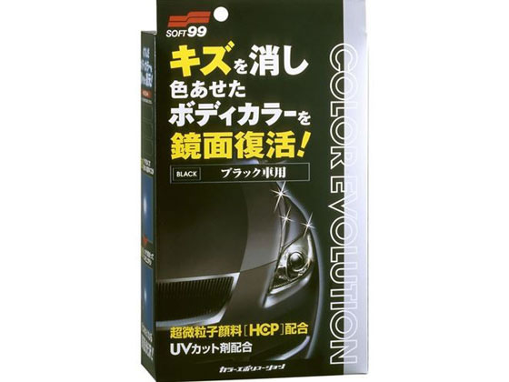 ソフト99 COLOR EVOLUTION 100mL ブラック 00503