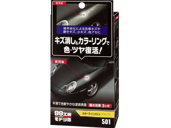 ソフト99 カラーフィニッシュ ブラック 65g 09501