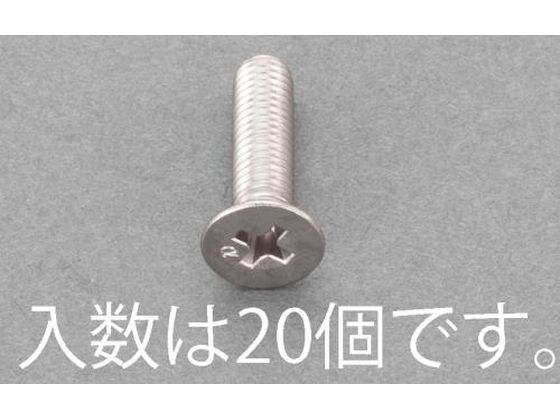 エスコ 皿頭小ねじ ステンレス製 有磁性 20本 M6×12mm