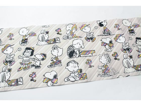 カモ井 mtリメイクシート Peanuts ピーナッツ・ストライプ MTCARPT02