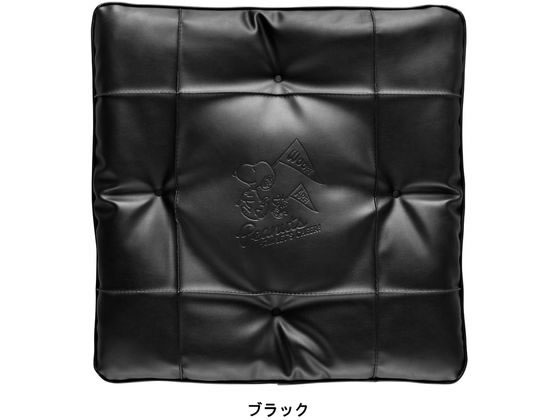 ボンフォーム スヌーピーチア2 45×45cm (綿入角) BK 5711-06BK