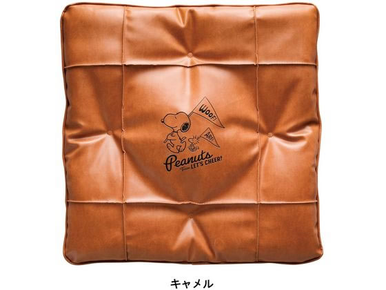 ボンフォーム スヌーピーチア2 45×45cm (綿入角) CA 5711-06CA
