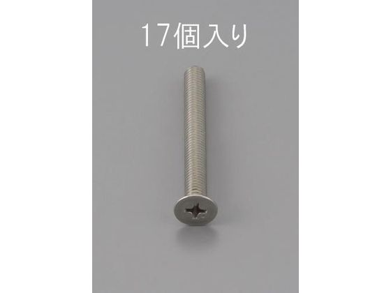エスコ 皿頭小ねじ ステンレス製 17本 M4×12mm EA949NB-412