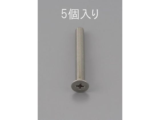 エスコ 皿頭小ねじ ステンレス製 5本 M6×12mm EA949NB-612