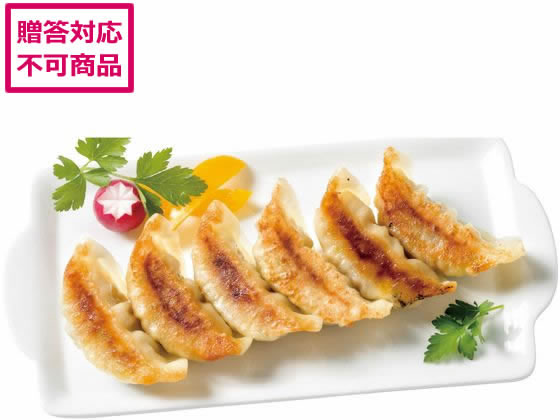 アイエスワイ 浜松餃子 45個 9637-010 アイエスワイ 浜松餃子 45個 9637-010