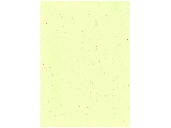 ヘイコー カットペーパー 銀河 A4 草 1束20枚入 002136313