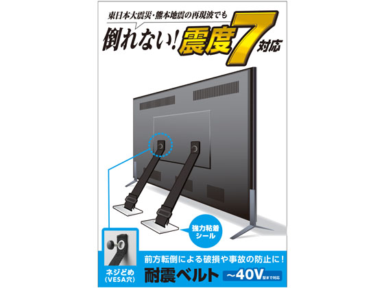 エレコム 耐震ベルト ネジどめVESA穴 ~40V用 2本入 TS-005N エレコム 耐震ベルト ネジどめVESA穴 ~40V用 2本入 TS-005N