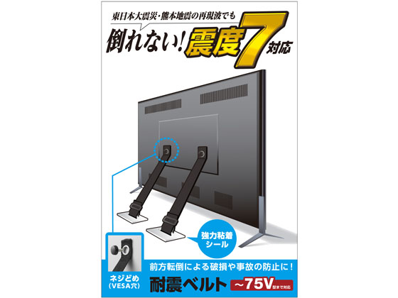 エレコム 耐震ベルト ネジどめVESA穴 ~75V用 2本入 TS-006N エレコム 耐震ベルト ネジどめVESA穴 ~75V用 2本入 TS-006N