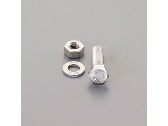 エスコ 強力六角ボルト SUS ナットワッシャ付全ネジ M20×60mm