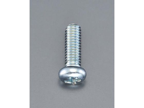 エスコ 鍋頭小ねじ ユニクロメッキ 45本 M4×10mm EA949NE-410