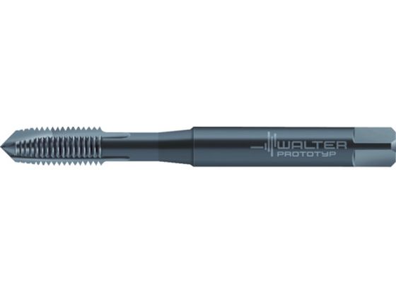 vgeBbv INOX |Cg^bv JC20213-M4