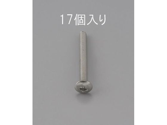 エスコ トラス頭小ねじ ステンレス製 17本 M2×10mm EA949NH-210