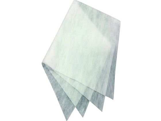 ダイアン・サービス エアークエストEX 38×80 2枚入 AQ2-01-02 ダイアン・サービス エアークエストEX 38×80 2枚入 AQ2-01-02