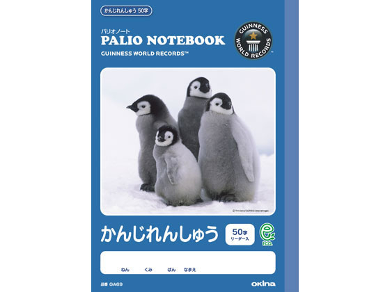 オキナ パリオノート かんじれんしゅう 50字 10冊 Ga69が1 199円 ココデカウ