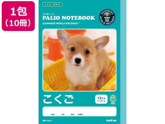 オキナ パリオノート こくご 12マス 十字リーダー入 10冊 Ga9 1が1 199円 ココデカウ