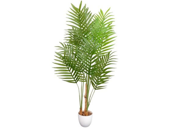 ファミリー・ライフ 光触媒 インテリアグリーン アレカヤシ 04570 ファミリー・ライフ 光触媒 インテリアグリーン アレカヤシ 04570