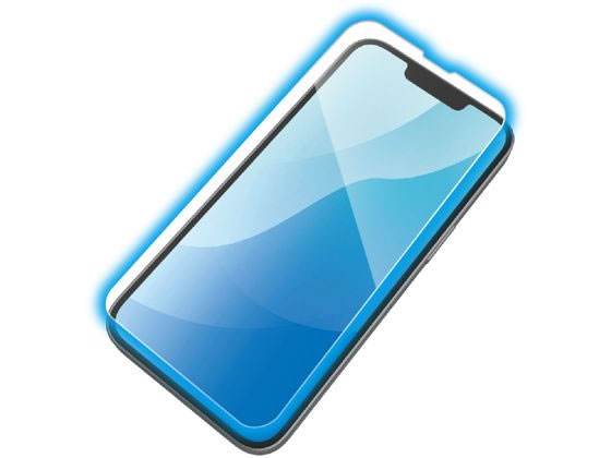 エレコム iPhone16e ガラスフィルム 高透明BLカット PM-A25SFLGGTBL エレコム iPhone16e ガラスフィルム 高透明BLカット PM-A25SFLGGTBL