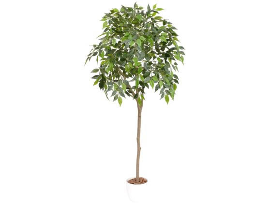 ファミリー・ライフ 光触媒 インテリアグリーン ベンジャミン 04572 ファミリー・ライフ 光触媒 インテリアグリーン ベンジャミン 04572