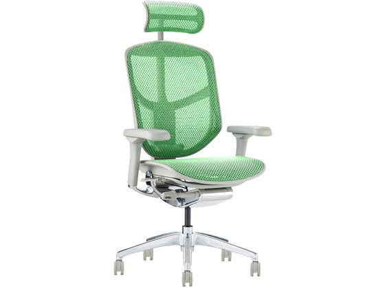 【値下げ】エルゴヒューマン エンジョイ グリーン Ergohuman エルゴヒューマン エンジョイ2 ハイタイプ グリーン