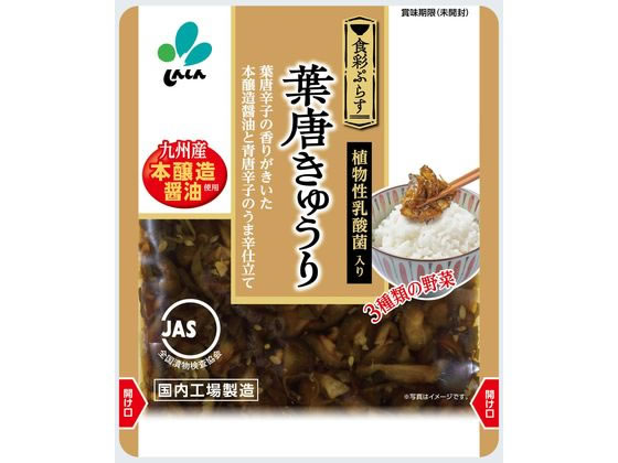 新進 食彩ぷらす 葉唐きゅうり 90g 新進 食彩ぷらす 葉唐きゅうり 90g