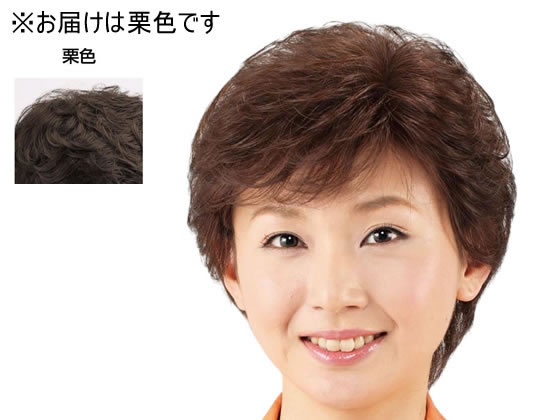 ファミリー・ライフ 人毛100% カールショートかつら 栗色 a3082720 ファミリー・ライフ 人毛100% カールショートかつら 栗色 a3082720