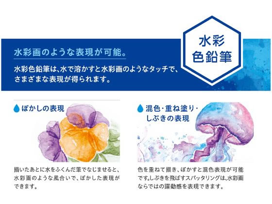 シャチハタ アートライン 水彩色鉛筆 36色セット KCP-W36C／H
