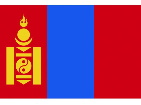 東京製旗 国旗No.2(90×135cm) モンゴル 426787 東京製旗 国旗No.2(90×135cm) モンゴル 426787