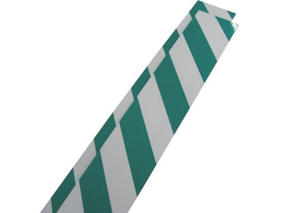 日東エルマテ NEWトラクッション 5mm×100mm×1m 緑／白 TGW100-1