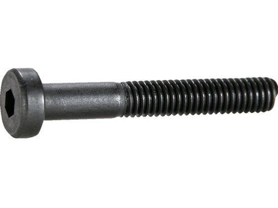 TRUSCO 低頭六角穴付ボルト 黒染め半ネジ サイズM4×25 12本入 B081-0425 TRUSCO 低頭六角穴付ボルト 黒染め半ネジ サイズM4×25 12本入 B081-0425