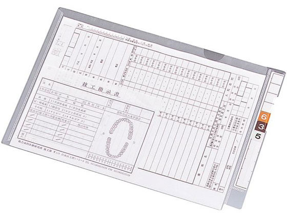 リヒトラブ カルテフォルダー フラップ付シングル横型 B5 100枚